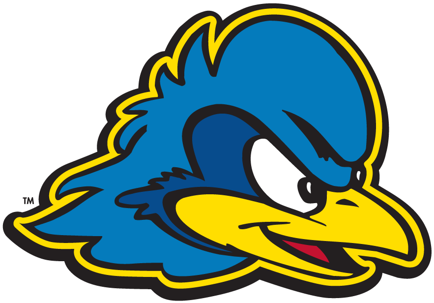 Delaware Blue Hens 2009-Pres Secondary Logo v2 diy DTF decal sticker